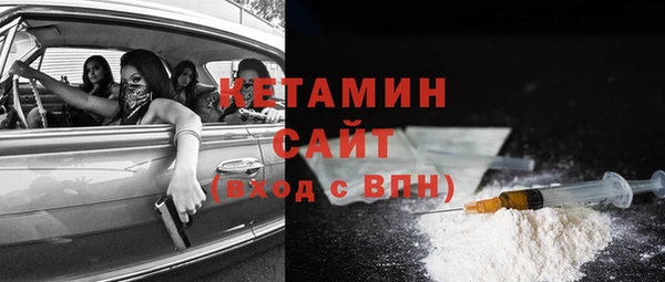 ГАЛЛЮЦИНОГЕННЫЕ ГРИБЫ Богданович