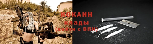ГАЛЛЮЦИНОГЕННЫЕ ГРИБЫ Богданович