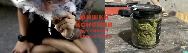 ГАЛЛЮЦИНОГЕННЫЕ ГРИБЫ Богданович