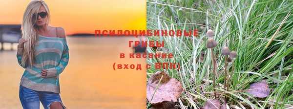 ГАЛЛЮЦИНОГЕННЫЕ ГРИБЫ Богданович