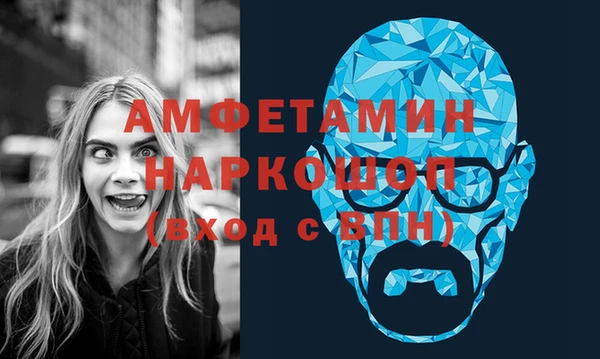 ГАЛЛЮЦИНОГЕННЫЕ ГРИБЫ Богданович
