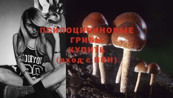 кристаллы Богородицк