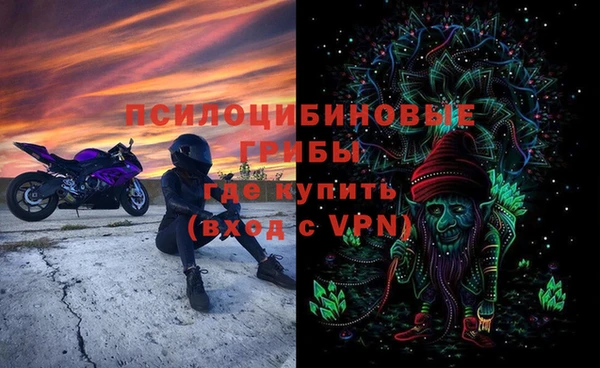 ГАЛЛЮЦИНОГЕННЫЕ ГРИБЫ Богданович